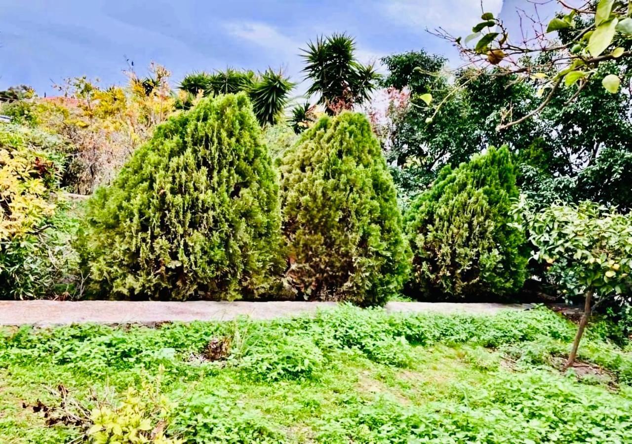 Villa Jenny Stylianou Spetses Town Ngoại thất bức ảnh