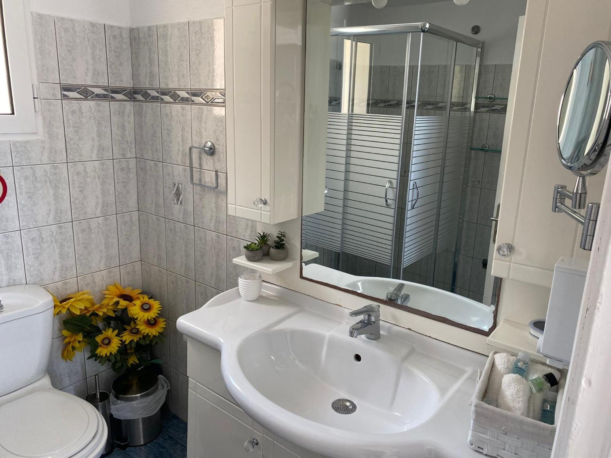 Villa Jenny Stylianou Spetses Town Ngoại thất bức ảnh