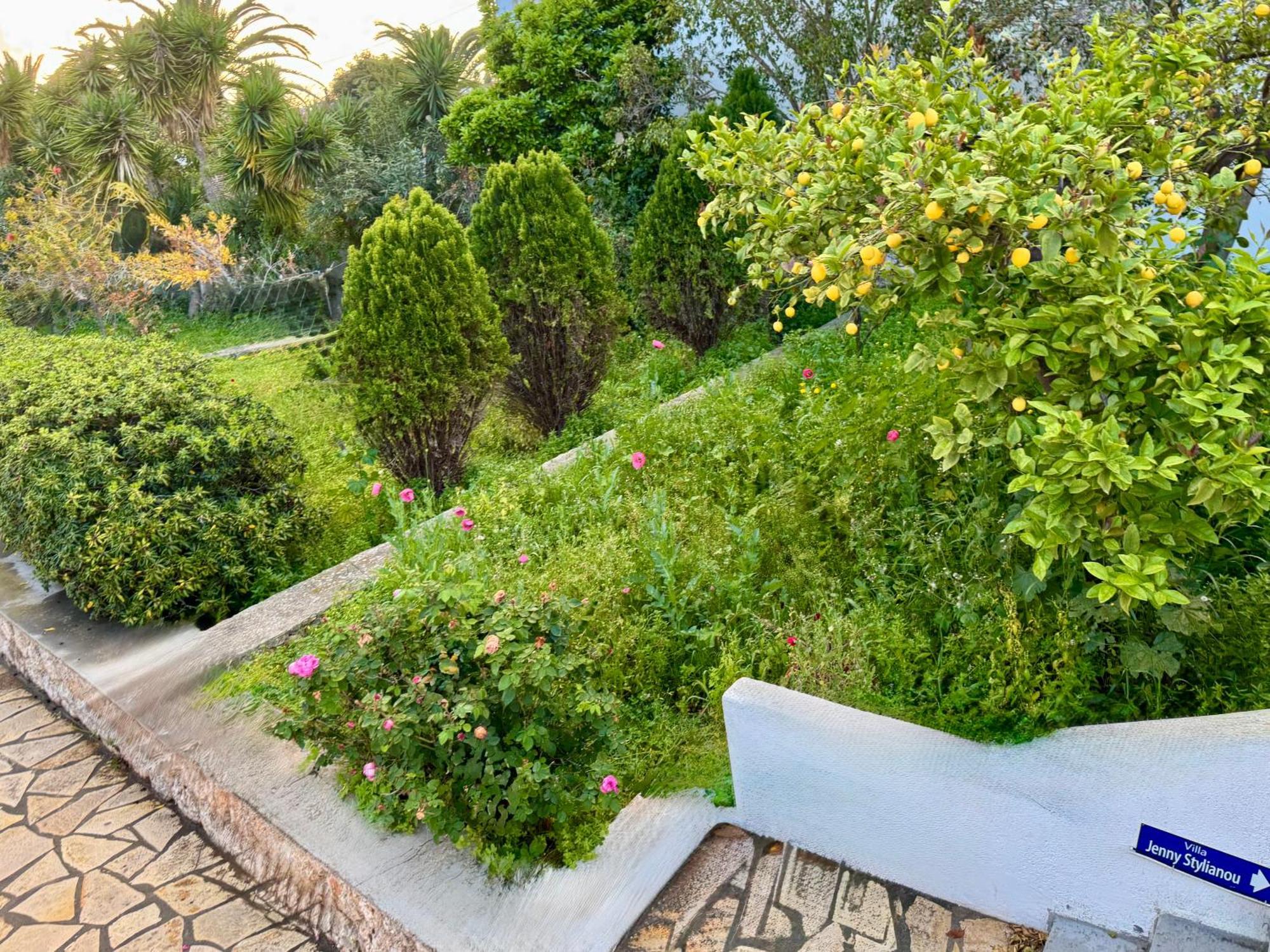 Villa Jenny Stylianou Spetses Town Ngoại thất bức ảnh